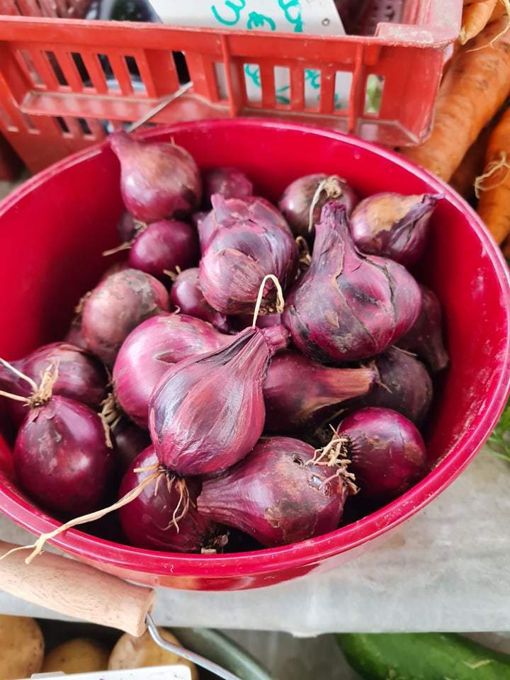 Vente de légumes professionnelle frais 
