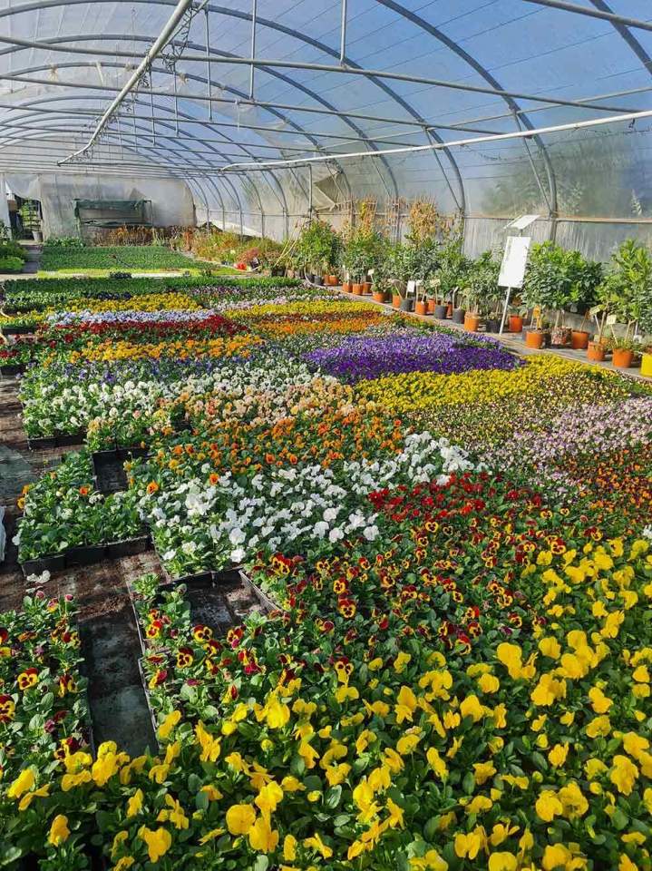 Entreprise horticole Louzy