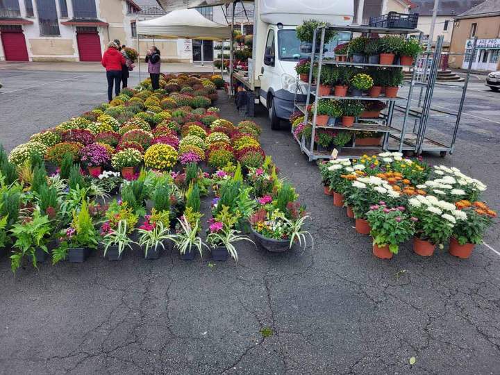 Découvrez en images les plantes proposées par Les Jardins de Magé à Louzy.