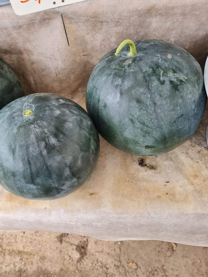 Vente au détail de légumes
