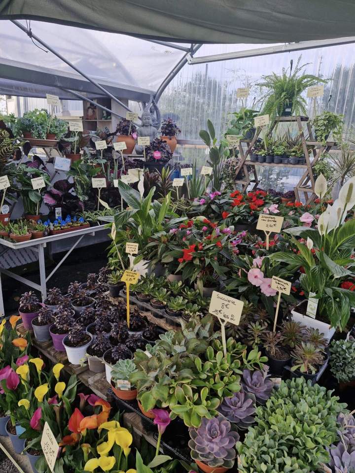 Production horticole à Louzy