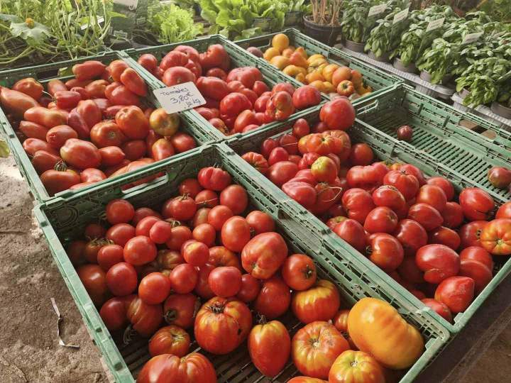 Vente au détail de légumes