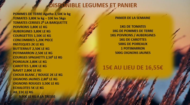 DISPO 17 08