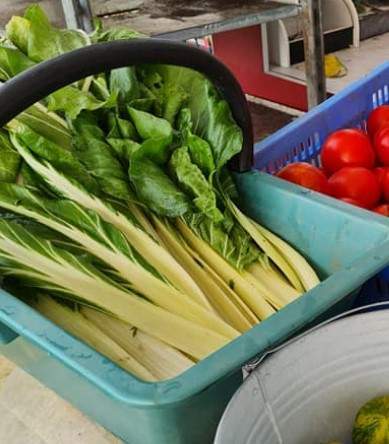 Vente de légumes à Louzy 